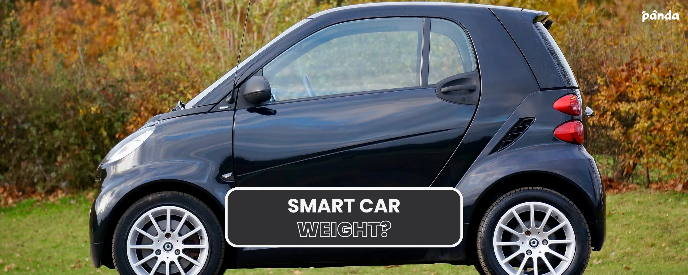 How Much Does A Car Weigh Panda Hub Car Care How much does a car weigh panda hub car care